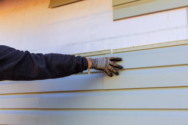 Best Storm Damage Siding Repair  in Meeker, CO